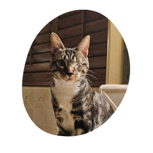Roscoe: The One-Eyed Wonder with a Wise Heart