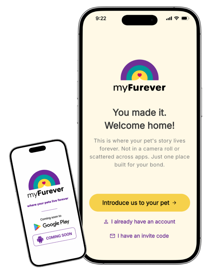 myFurever App